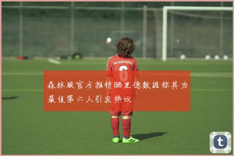 森林狼官方推特晒里德数据称其为最佳第六人引发热议
